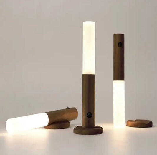 LED Motion Sensor Light, Indoor Magnetic Portable Lamp