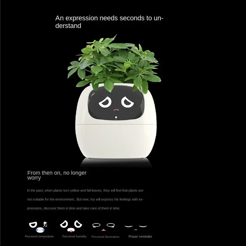 New Smart Cute Flower Pot