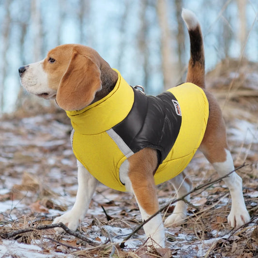 Waterproof Winter Warm Dog Clothes