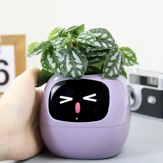 New Smart Cute Flower Pot